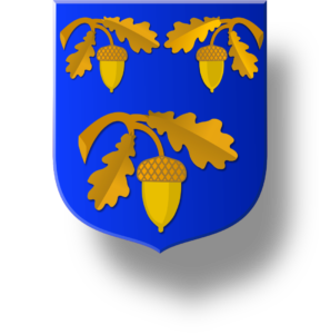 Blason et armoiries famille de Gaulmyn