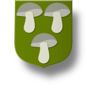 Blason et armoiries famille Goudin