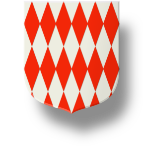 Blason et armoiries famille de Grimaldi