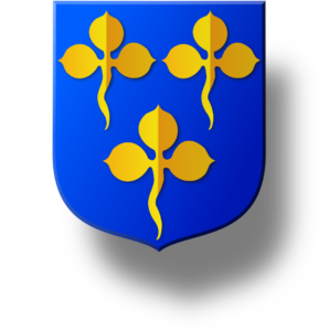 Blason et armoiries famille Hallé