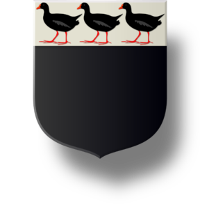 Blason et armoiries famille d'Hnnisdal