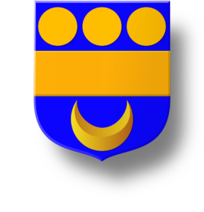 Blason et armoiries famille d'Izarn