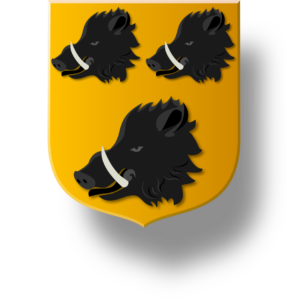 Blason et armoiries famille de Suduyraud