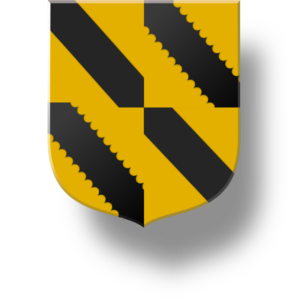 Blason et armoiries famille de Tenay