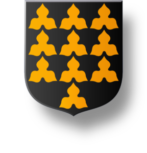 Blason et armoiries famille Le Roy