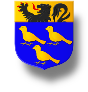 Blason et armoiries famille Guervin