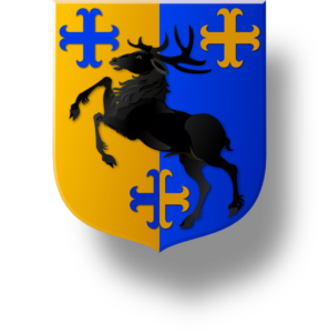 Blason et armoiries famille Haon