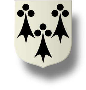 Blason et armoiries famille Bouvier