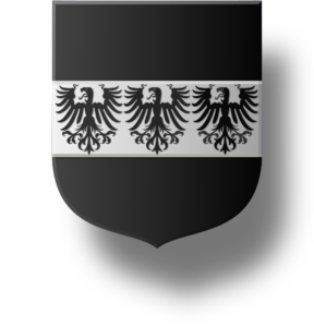 Blason et armoiries famille Palasi