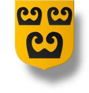 Blason et armoiries famille Stalins