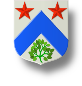 Blason et armoiries famille Raudot