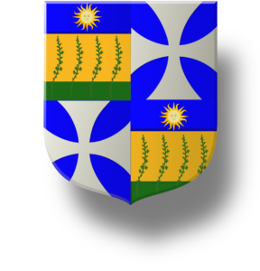 Blason et armoiries famille Brugière