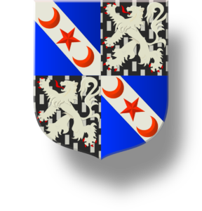 Blason et armoiries famille Chicoyneau