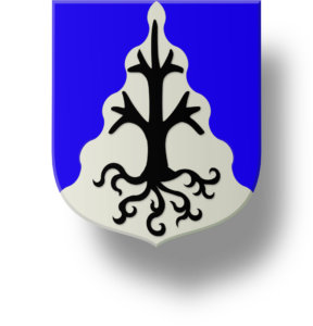 Blason et armoiries famille Duerloo