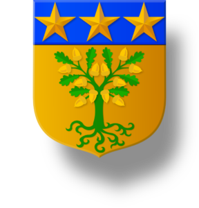 Blason et armoiries famille de La Brousse