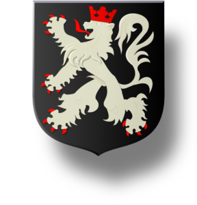 Blason et armoiries famille de La Chaize