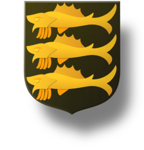 Blason et armoiries famille de La Rivière de Chambon