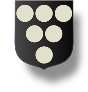 Blason et armoiries famille de La Vove