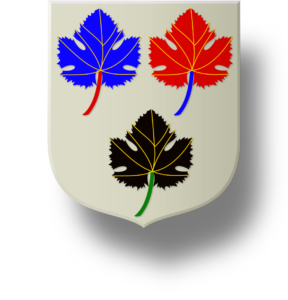 Blason et armoiries famille Vaisset