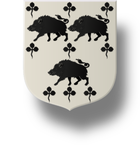 Blason et armoiries famille Le Ver