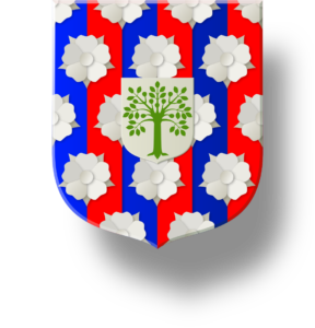 Blason et armoiries famille de Louet