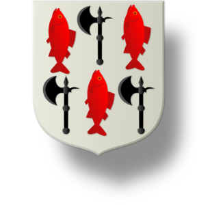 Blason et armoiries famille Costiou