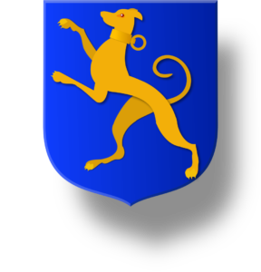 Blason et armoiries famille de Magontier