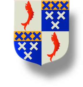 Blason et armoiries famille de Marcin