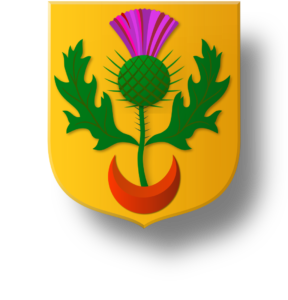 Blason et armoiries famille de Menon