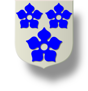 Blason et armoiries famille de Montesson