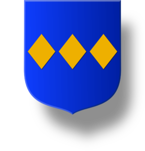 Blason et armoiries famille de Nagu