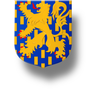 Blason et armoiries famille de Nassau