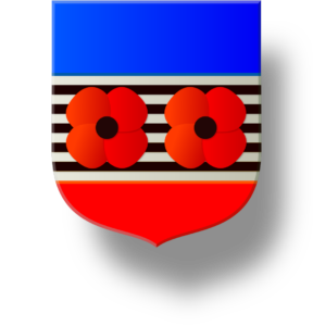 Blason et armoiries famille Soler