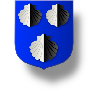 Blason et armoiries famille Lizel