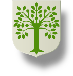 Blason et armoiries famille de Nogaret