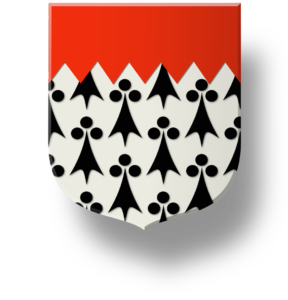 Blason et armoiries famille d'O