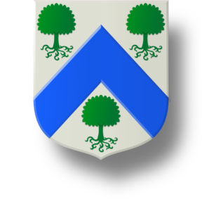 Blason et armoiries famille Plasson