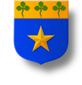 Blason et armoiries famille Broé