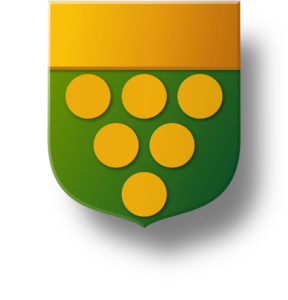 Blason et armoiries famille Ridder