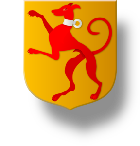 Blason et armoiries famille de Baylens