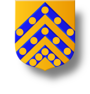 Blason et armoiries famille Richer