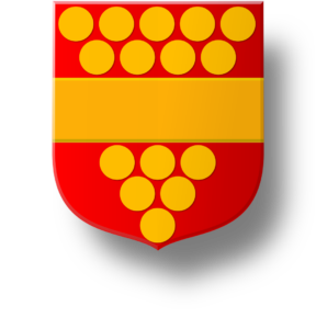 Blason et armoiries famille Van Riede