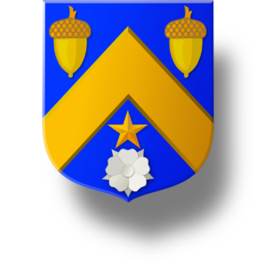 Blason et armoiries famille de Vaussain