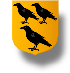 Blason et armoiries famille de Bassabat