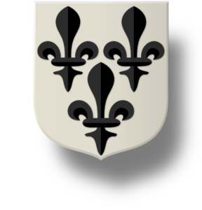 Blason et armoiries famille Faverot