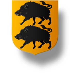 Blason et armoiries famille de Labay