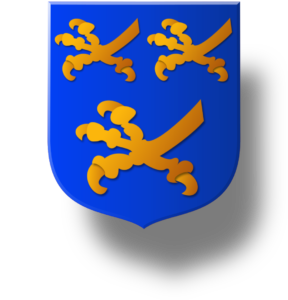 Blason et armoiries famille de Villiers de La Noue