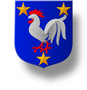 Blason et armoiries famille Rioust