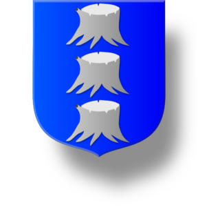 Blason et armoiries famille Ruyneau