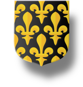 Blason et armoiries famille de Marsay